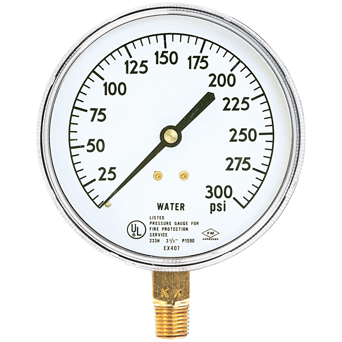 Water Gauge, 0-300 psi